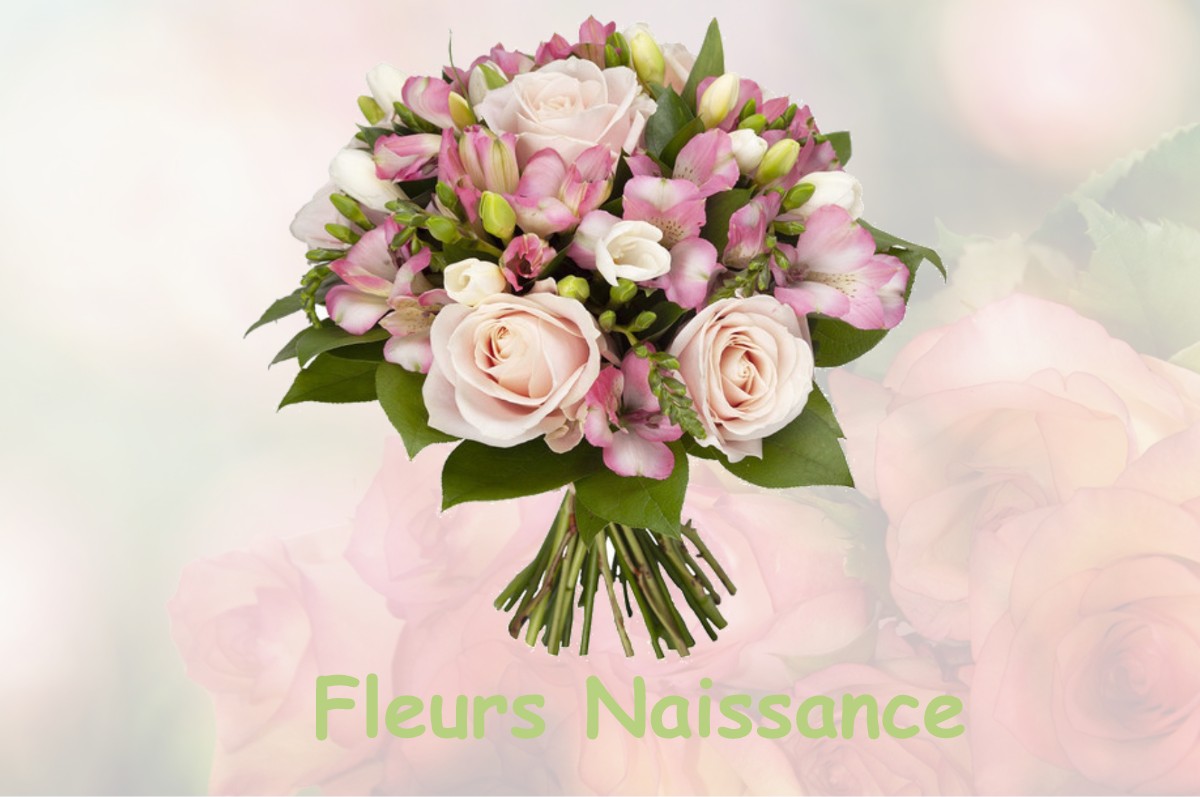 fleurs naissance VERNOUX-SUR-BOUTONNE